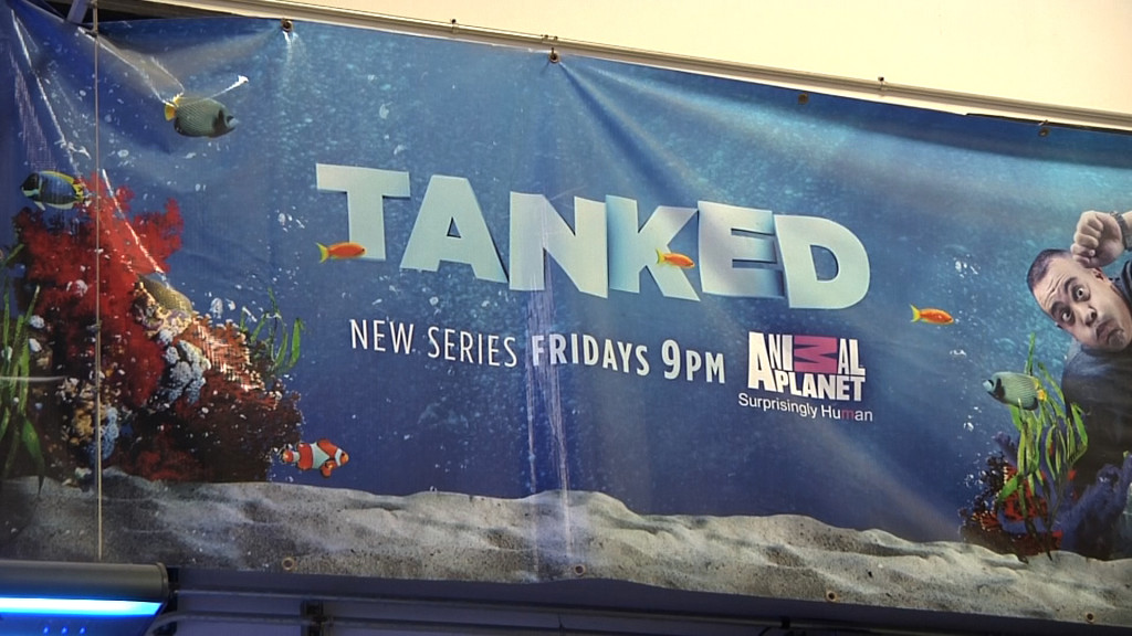 Tanked TV Show Vegas Las Vegas Tours